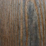 Bluepilze an Lrchenholz einer Fassade